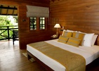 Cinnamon Wild Yala