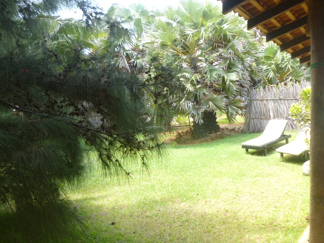 Palagama Beach