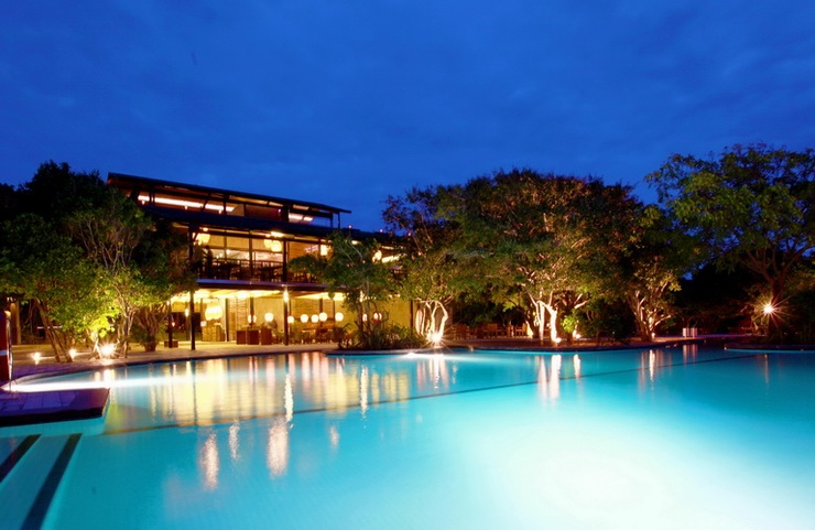 Cinnamon Wild Yala
