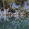 Anantara Kalutara Resort