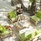 Royal Island Resort & Spa