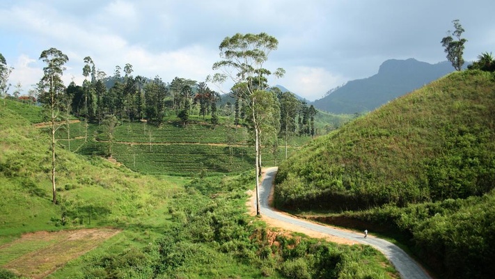 3 дня экскурсия По самым красивым местам Шри-Ланки
