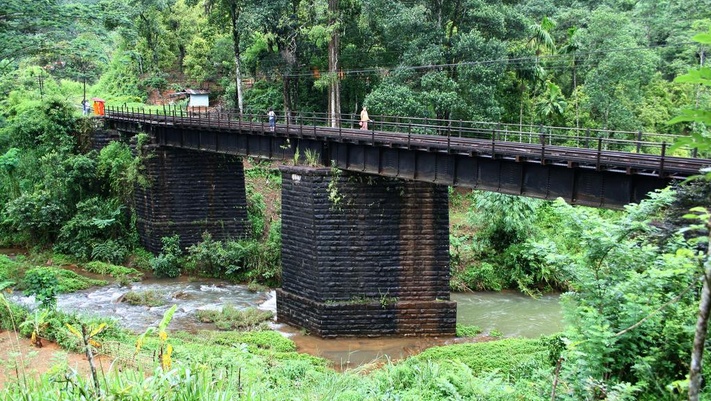 По следам древних веддов