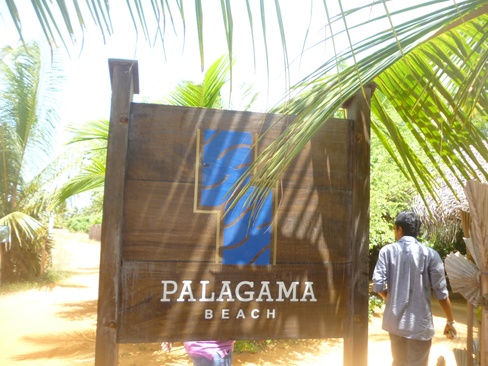 Palagama Beach