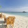 Royal Island Resort & Spa