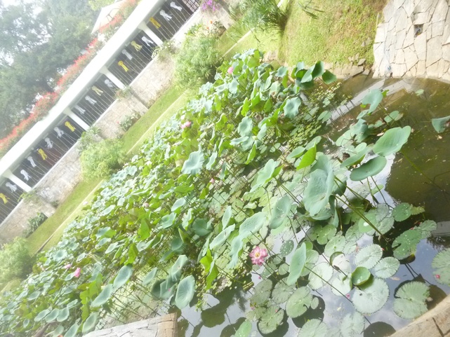 Mahaweli Reach Hotel