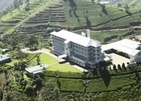 Heritance Tea Factory