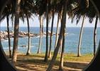 Turtle Bay