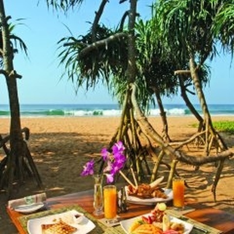 Aditya Resort