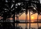 Turtle Bay