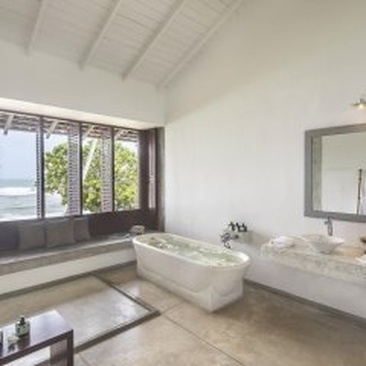 The Frangipani Tree By Edwards Collection