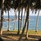 Turtle Bay