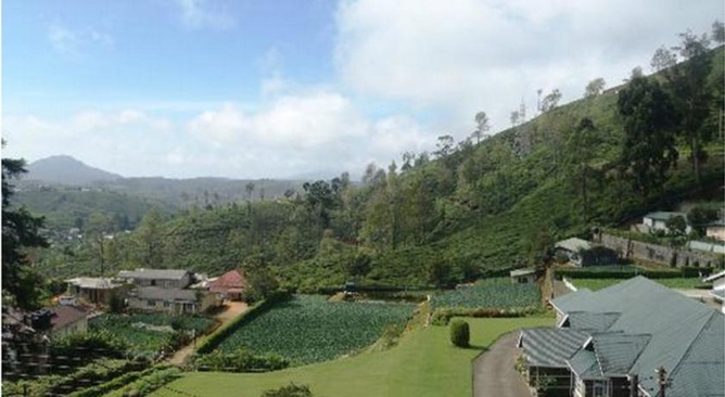 Heaven Seven Hotels