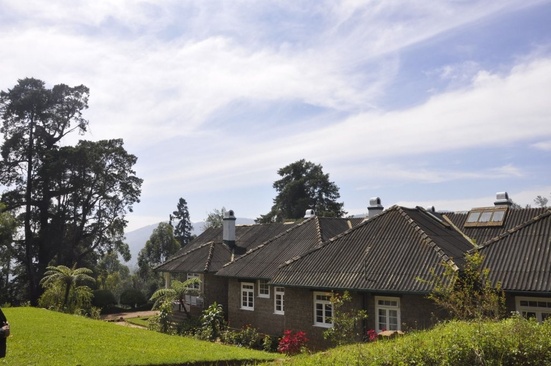 Scottish Planter Glendevon Bungalow
