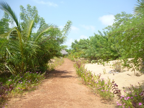 Palagama Beach
