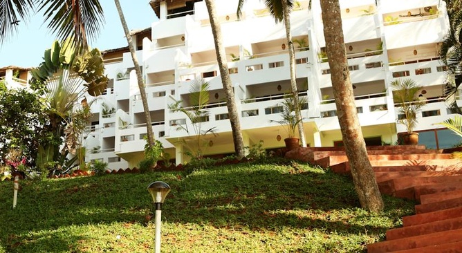 Soma Palmshore