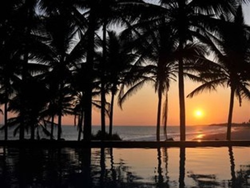 Turtle Bay