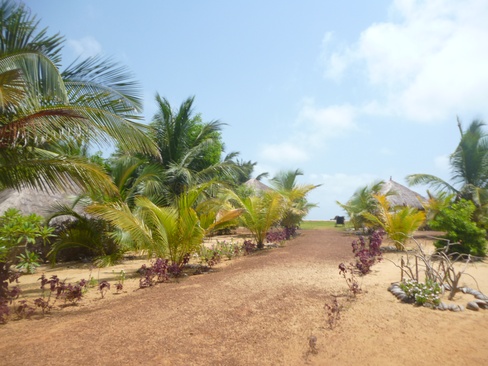 Palagama Beach