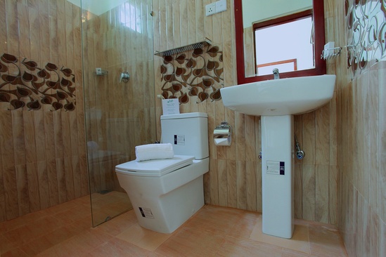 Life Ayurveda Resort