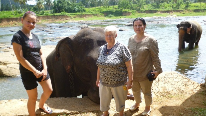 Слоновий Питомник +Священный город и чайные плантации