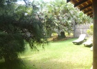 Palagama Beach