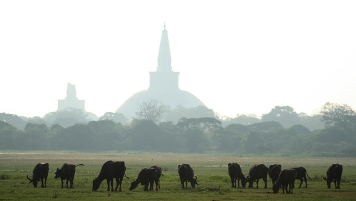 Наследие Юнеско