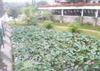 Mahaweli Reach Hotel