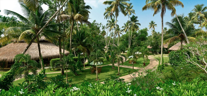 Carnoustie Ayurveda Wellness & Resort 