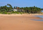 Turtle Bay