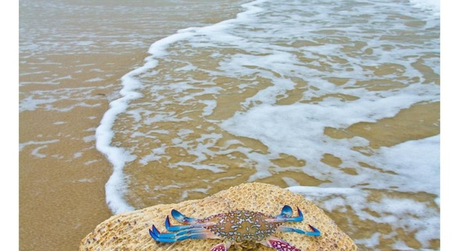 Shangri La Hambantota