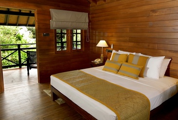 Cinnamon Wild Yala