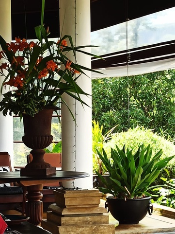 Madulkelle Tea And Eco Lodge