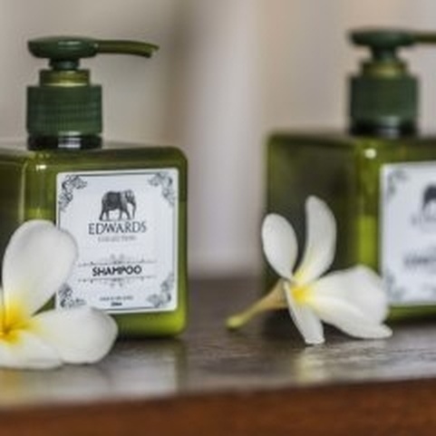 The Frangipani Tree By Edwards Collection
