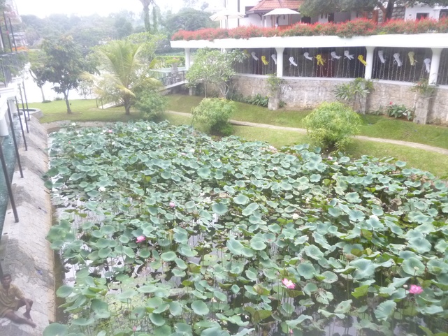 Mahaweli Reach Hotel