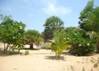 Palagama Beach