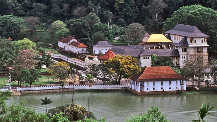 Слоновий Питомник +Священный город и чайные плантации