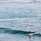 Cape Weligama