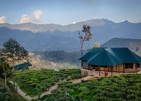 Madulkelle Tea And Eco Lodge