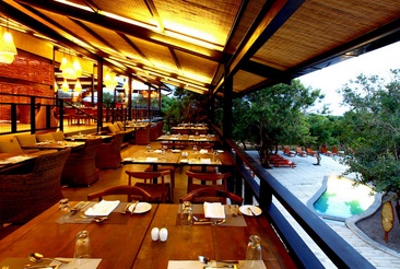 Cinnamon Wild Yala