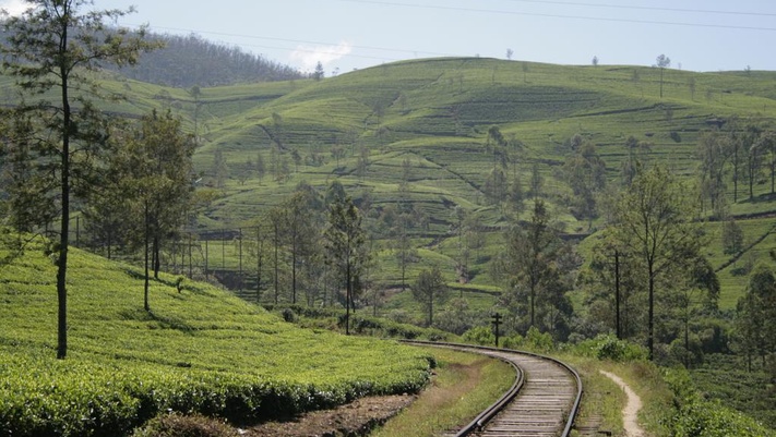 4 ночи Летние брызги Цейлона