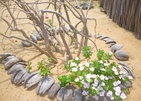 Palagama Beach