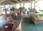 The Palms