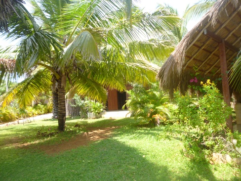 Palagama Beach