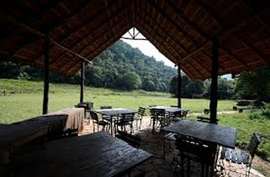 Ella Jungle Resort