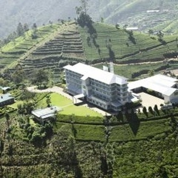 Heritance Tea Factory