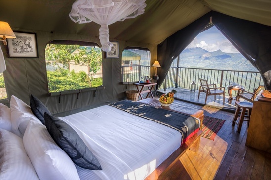 Madulkelle Tea And Eco Lodge