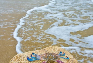 Shangri La Hambantota