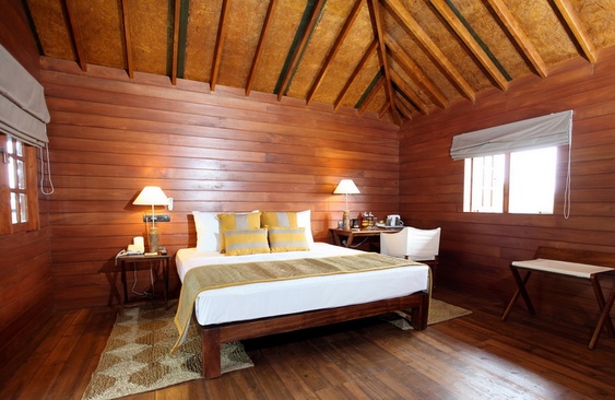 Cinnamon Wild Yala