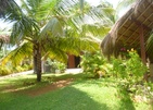 Palagama Beach
