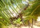 Palagama Beach